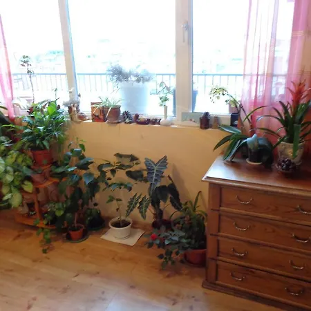 Panorama アパート